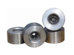 Tungsten Carbide Die